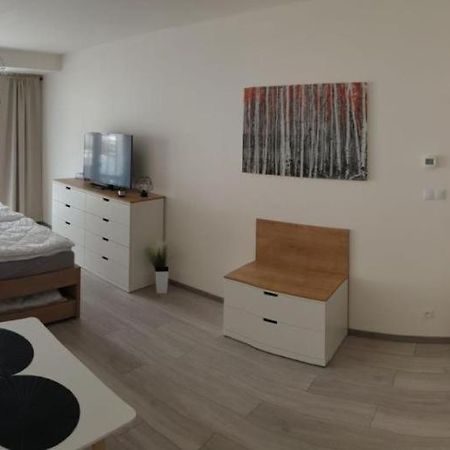 Apartment Korzo 318/3 ลิปโนนัดเวิลตาวู ภายนอก รูปภาพ